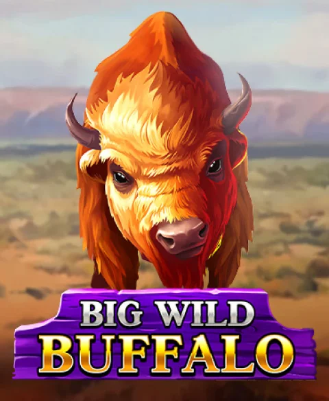 Play Big Wild Buffalo at Malina Casino